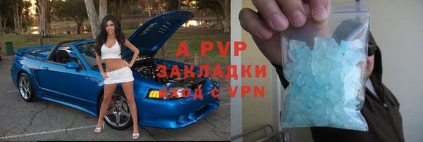 стаф Аркадак
