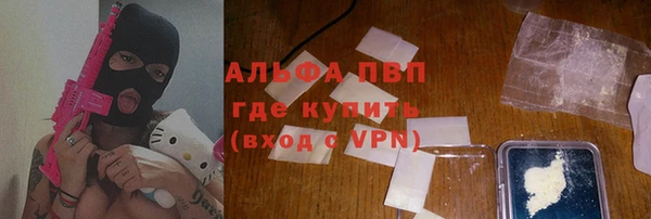 стаф Аркадак