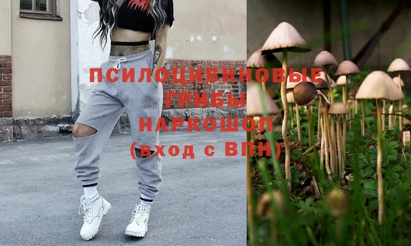 прущая мука Арсеньев