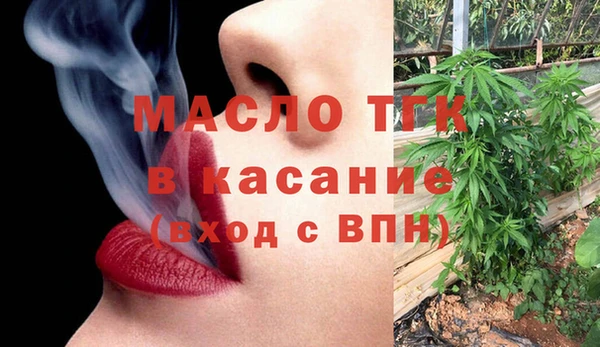 стаф Аркадак