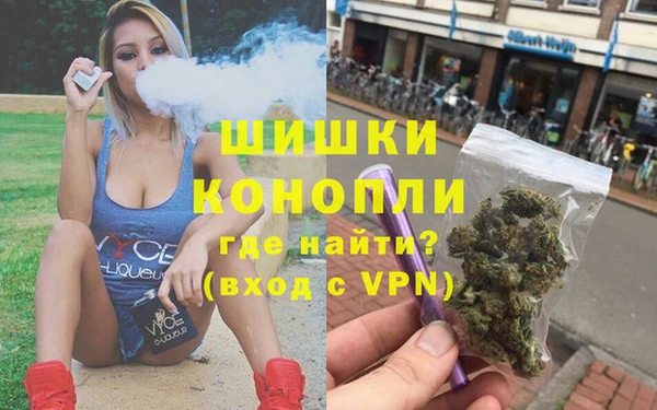 стаф Аркадак