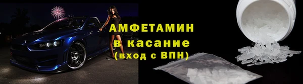 стаф Аркадак