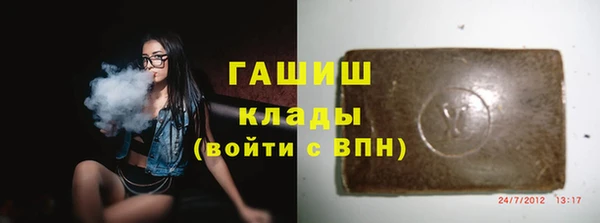 стаф Аркадак