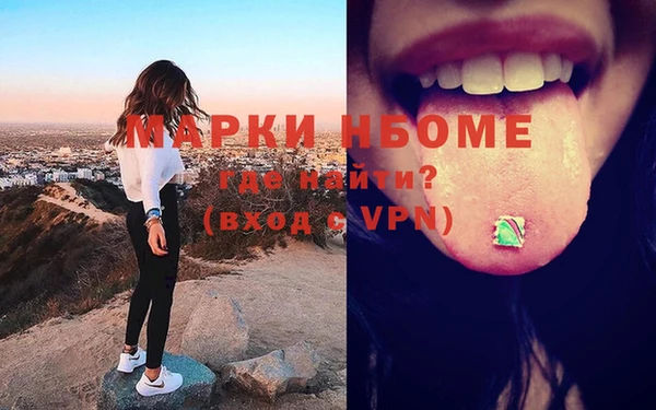 стаф Аркадак