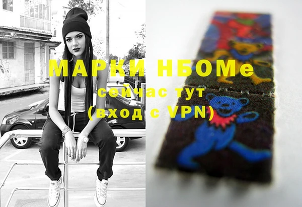 стаф Аркадак