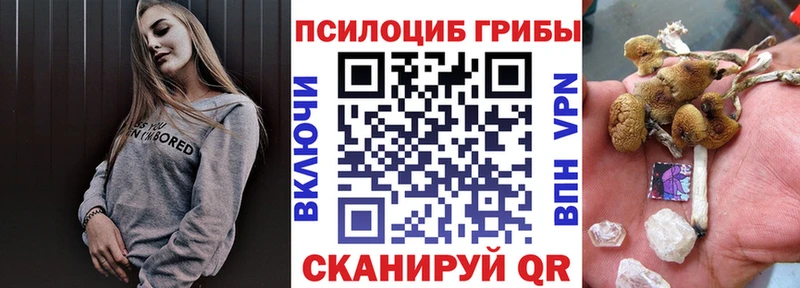 закладки Белореченск Галлюциногенные грибы Cubensis